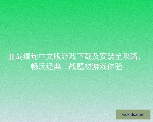 血战缅甸中文版游戏下载及安装全攻略，畅玩经典二战题材游戏体验