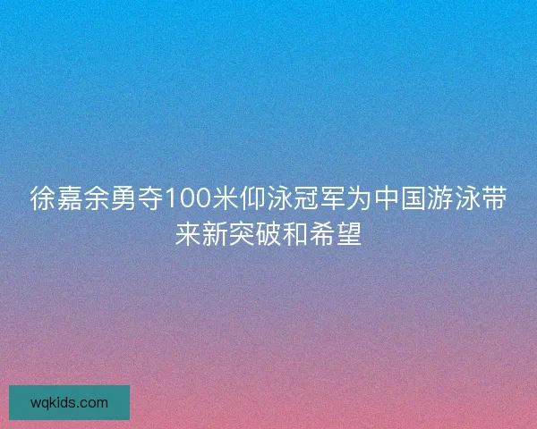 徐嘉余勇夺100米仰泳冠军为中国游泳带来新突破和希望