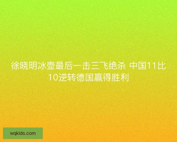 徐晓明冰壶最后一击三飞绝杀 中国11比10逆转德国赢得胜利